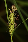 IMG_0026