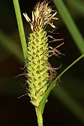 IMG_0027