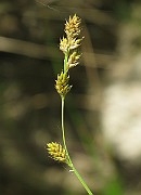 IMG_1647