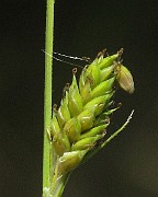 IMG_1648b