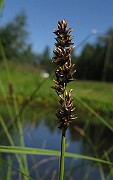 IMG_4168