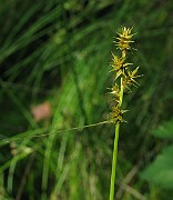 IMG_5510