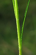 IMG_5511
