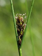 IMG_7207