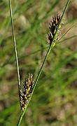 IMG_7209