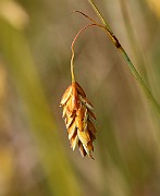 IMG_0480