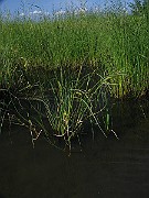 IMG_3842
