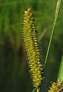 IMG_3844