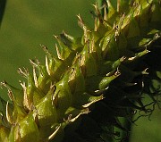 IMG_3854