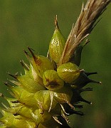 IMG_3857