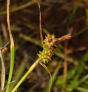 IMG_9960