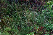 IMG_7155