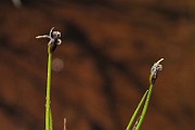 IMG_9961