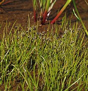 IMG_9966