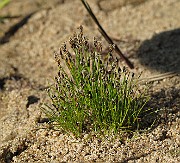 IMG_9967