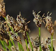 IMG_9969