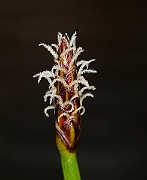 IMG_0568