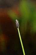 IMG_0572