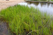 IMG_1858
