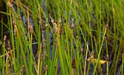 IMG_1859