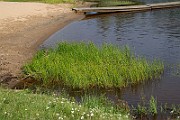 IMG_1967