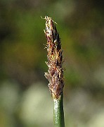 IMG_4514