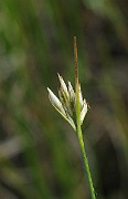 IMG_4015