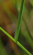 IMG_4021