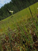 IMG_4022