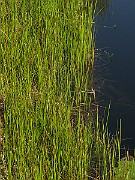 IMG_4056