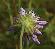IMG_1119