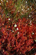 IMG_0043