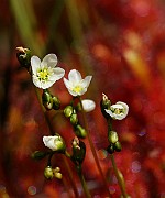 IMG_0044
