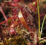 IMG_4577