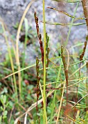 IMG_1801b