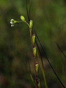 IMG_2067