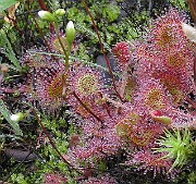 IMG_7297b