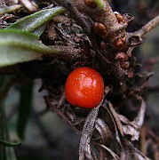 IMG_5852