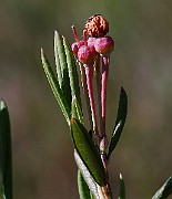IMG_0074