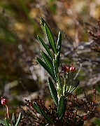 IMG_0075