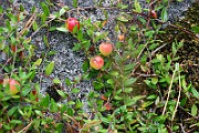 IMG_1795
