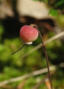 IMG_8064