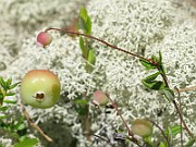 IMG_8065