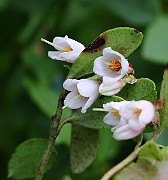 IMG_0304