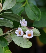 IMG_0305