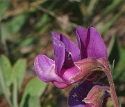 IMG_0043