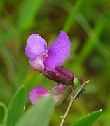 IMG_2389