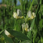 IMG_7687