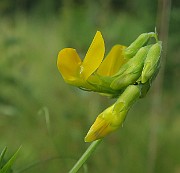 IMG_0153