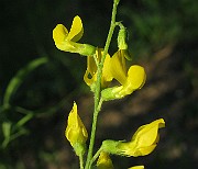 IMG_3835